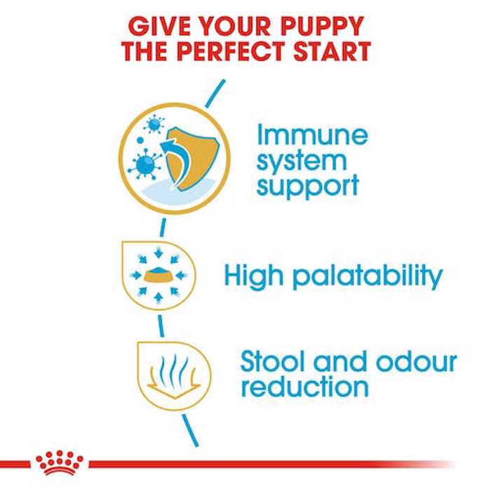 ROYAL CANIN CHIHUAHUA JUNIOR 1.5K ΞΗΡΑ ΤΡΟΦΗ ΣΚΥΛΟΥ ROYAL CANIN CHIHUAHUA JUNIOR 1.5K XIRA TROFI SKuLOu